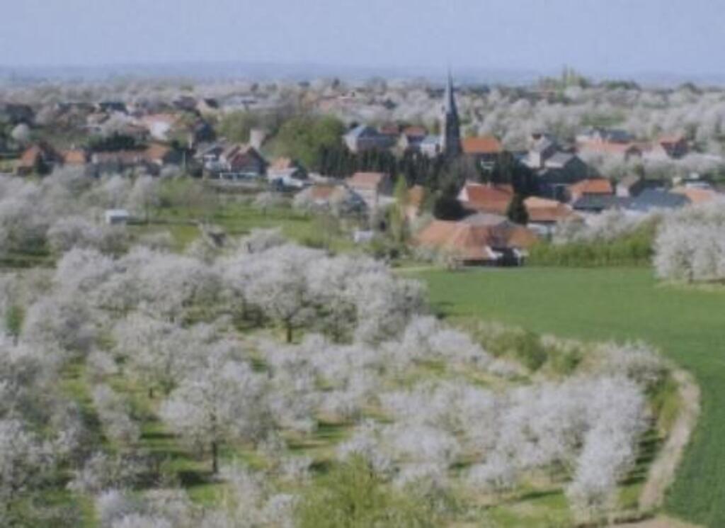 Our region in springtime