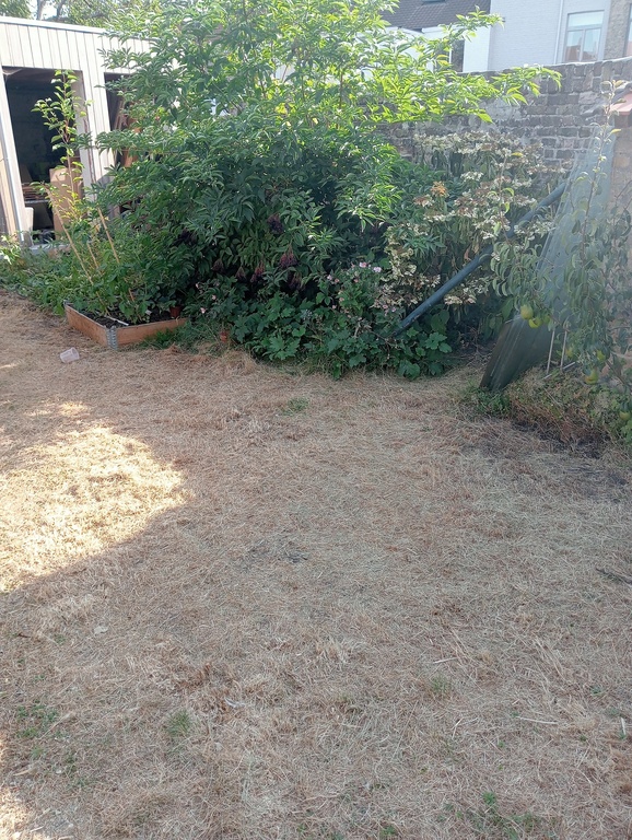 tuin