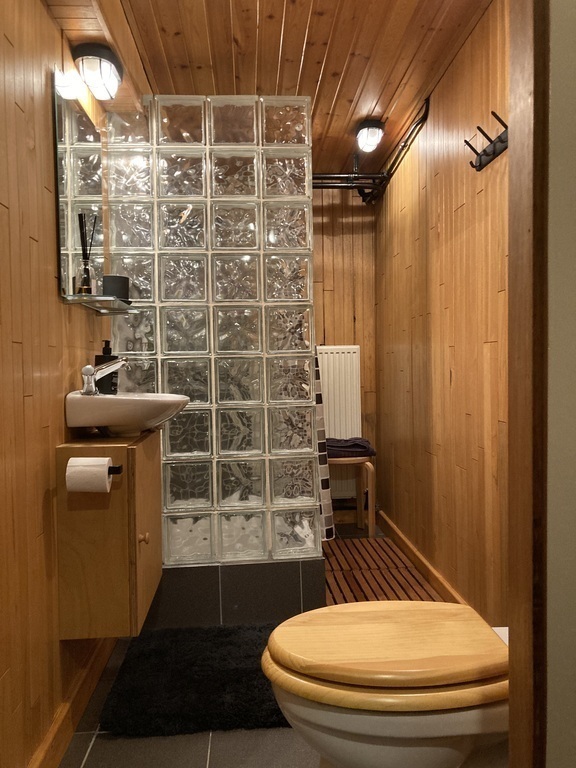 2nd Bathroom in the basement