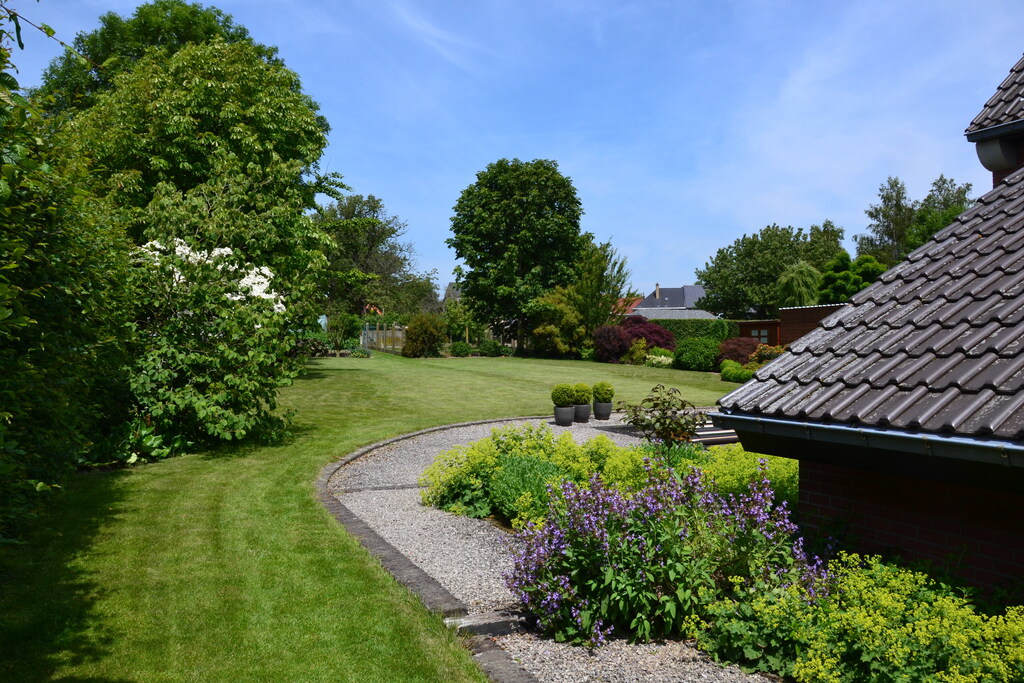 to garden in the back