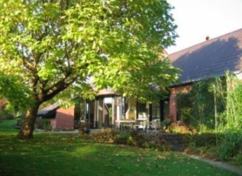 frontyard and terrace