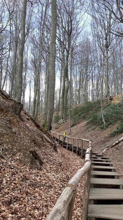 Ninove www.natuurenbos.be.neigembos