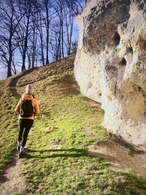 Montagne Saint Pierre, Nature reserve in Visé ( 30 kms)