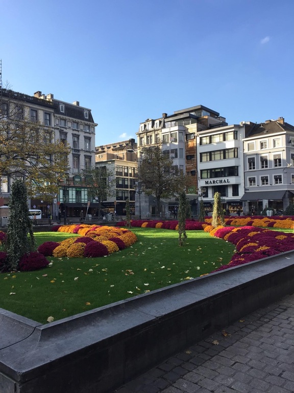 Liège, « place cathédrale » (main square).
