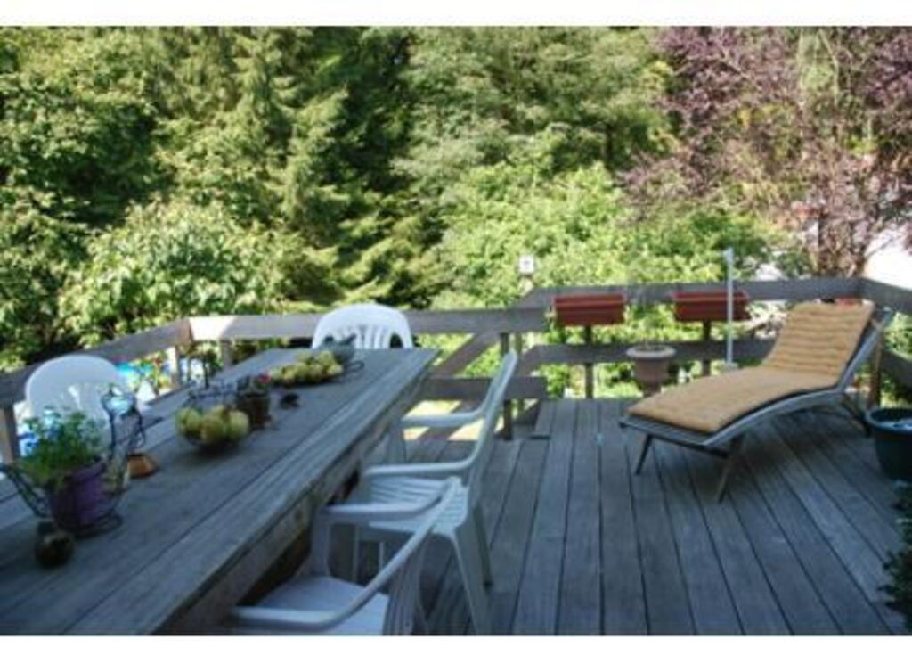 Wooden sundeck