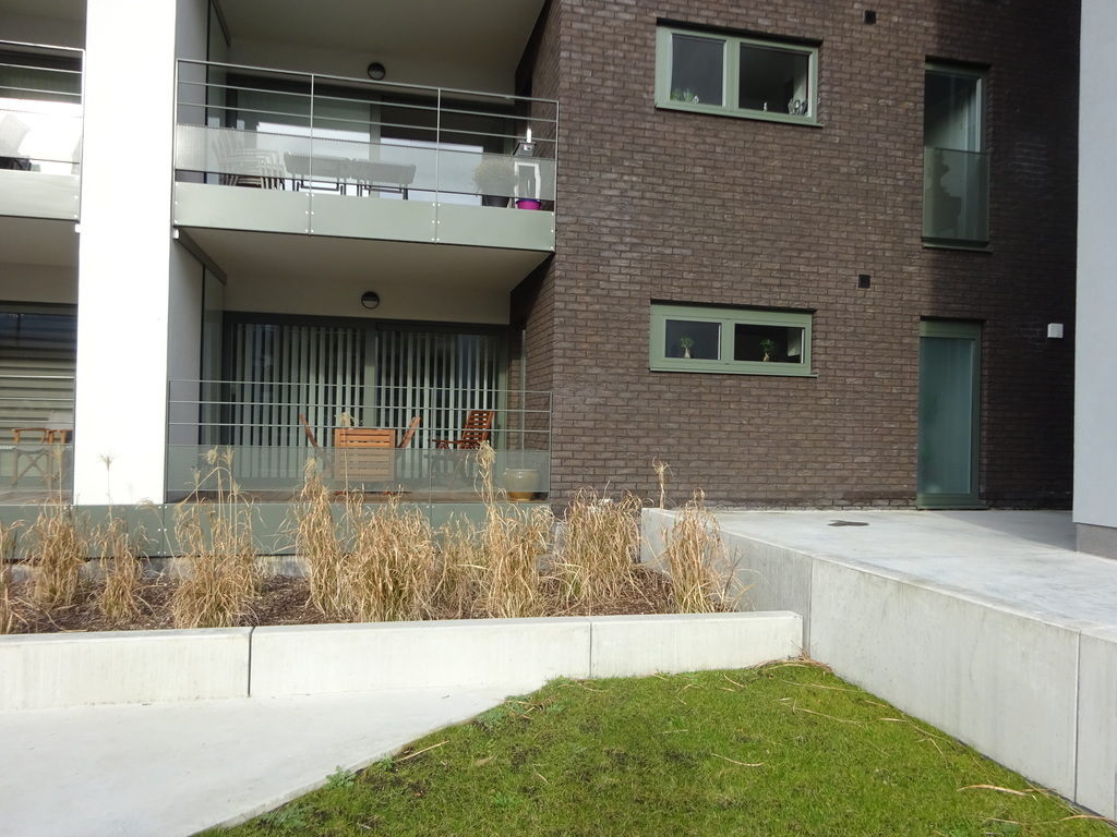 view from the courtyard