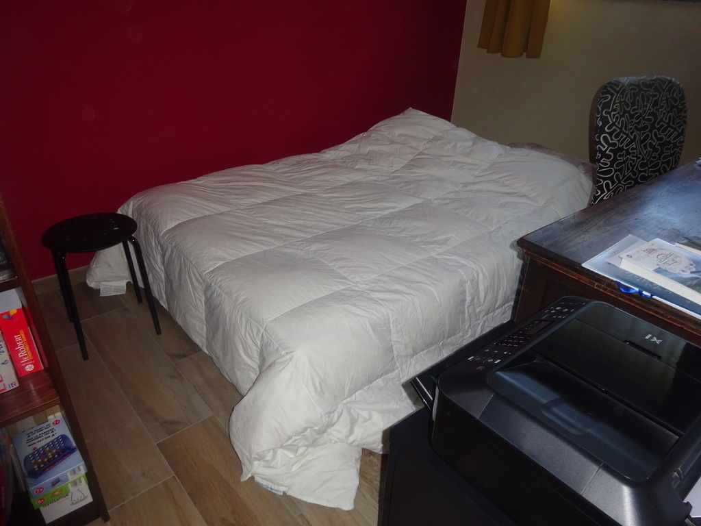 study with convertible bed 