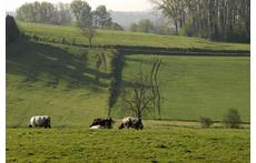 Surroundings of our house - flemmish ardennes. Famous for biking