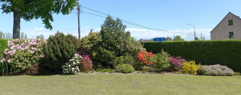 Garden - Spring 2021