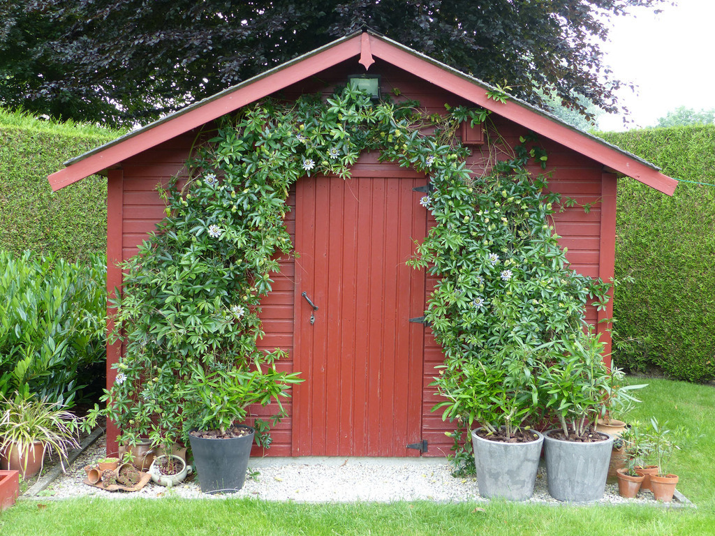 Garden house - July 2021