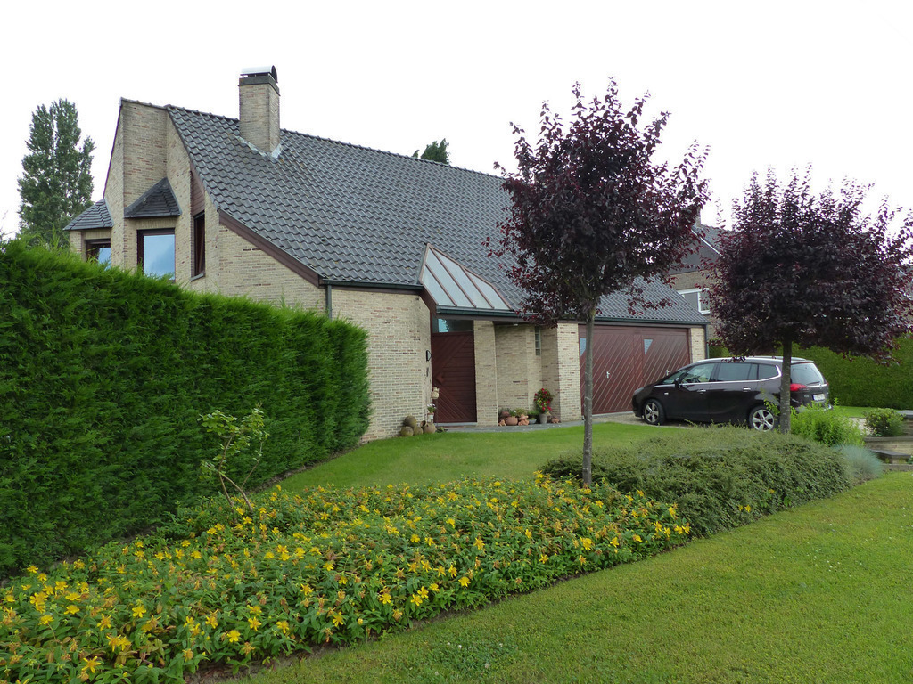 Front 01 - July 2021