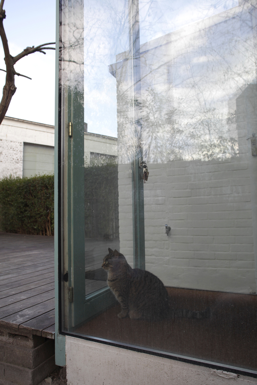 Zazie the cat, in the glass box entrance