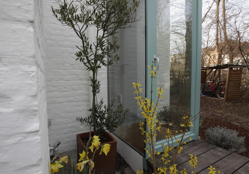 Main entrance from the terrace