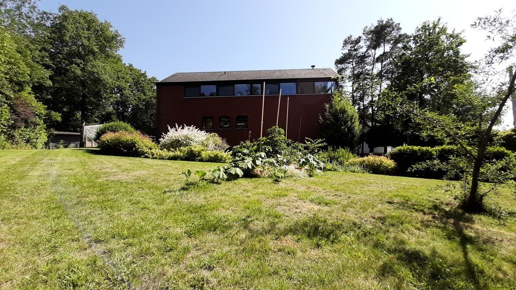 a little permaculture hill in front of the house