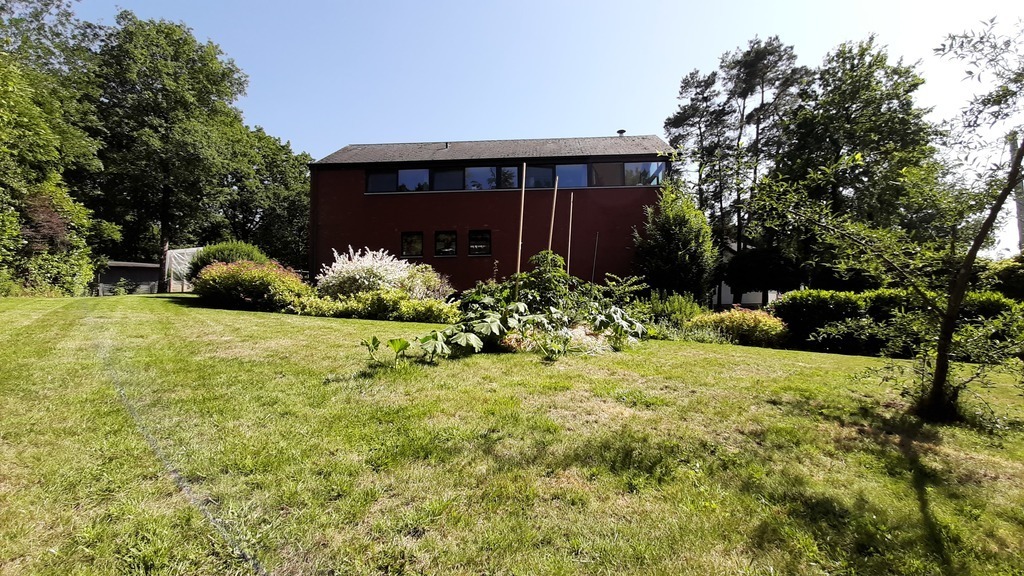 a little permaculture hill in front of the house