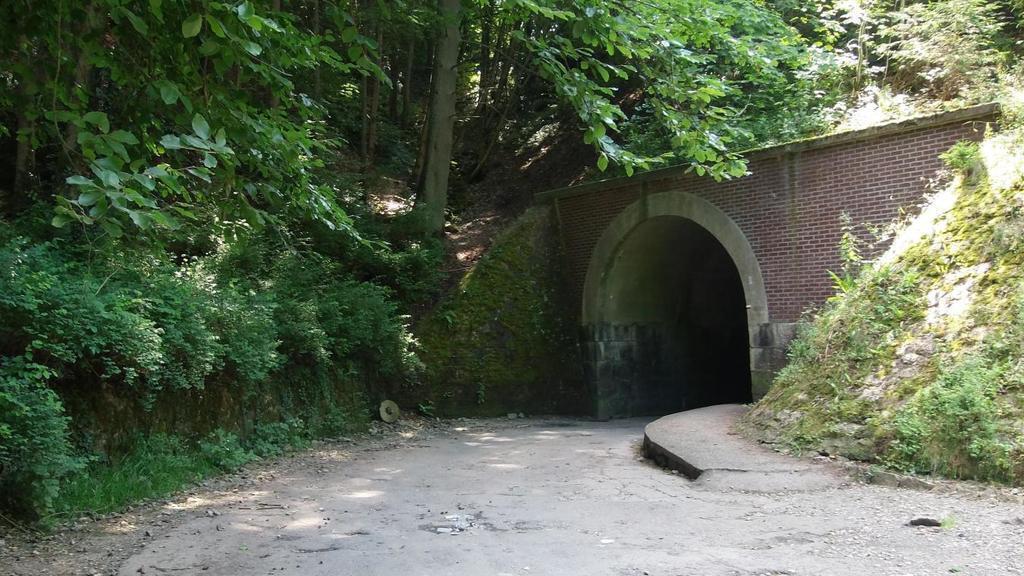 Forest path to walk to Marche-en-Famenne (2km)