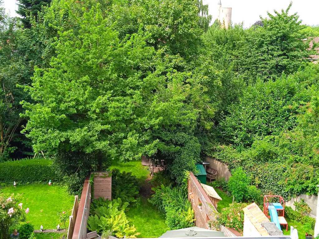 Looking through the window on the second floor you can see our garden.
