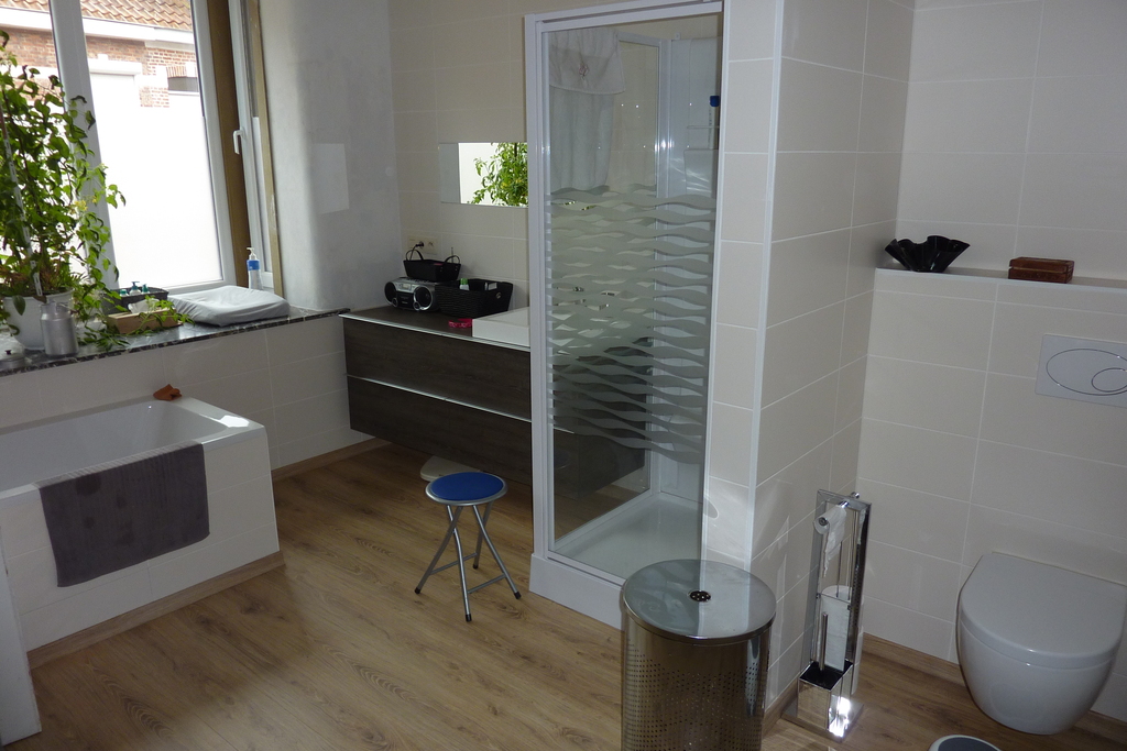 Bathroom (first floor) with toilet, shower, bath, 1 sink