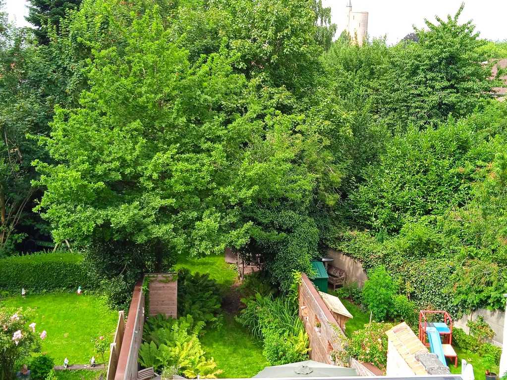 Looking through the window on the second floor you can see our garden.