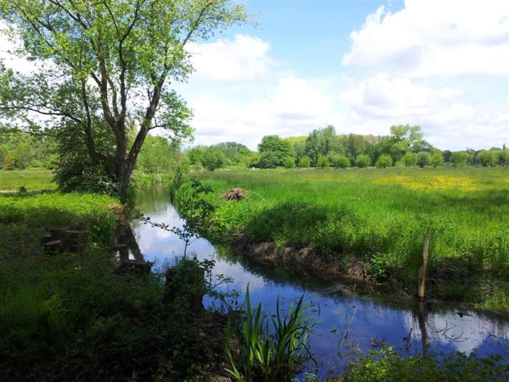 the nearby nature reserve 