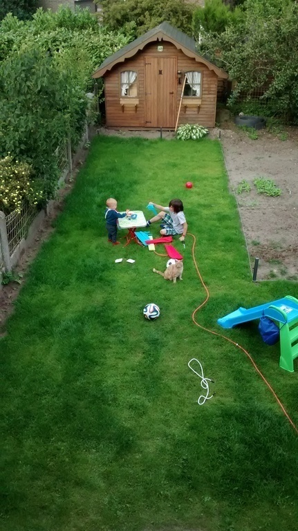 The garden (fullgrown by now, we have to take new picture (with trampoline)