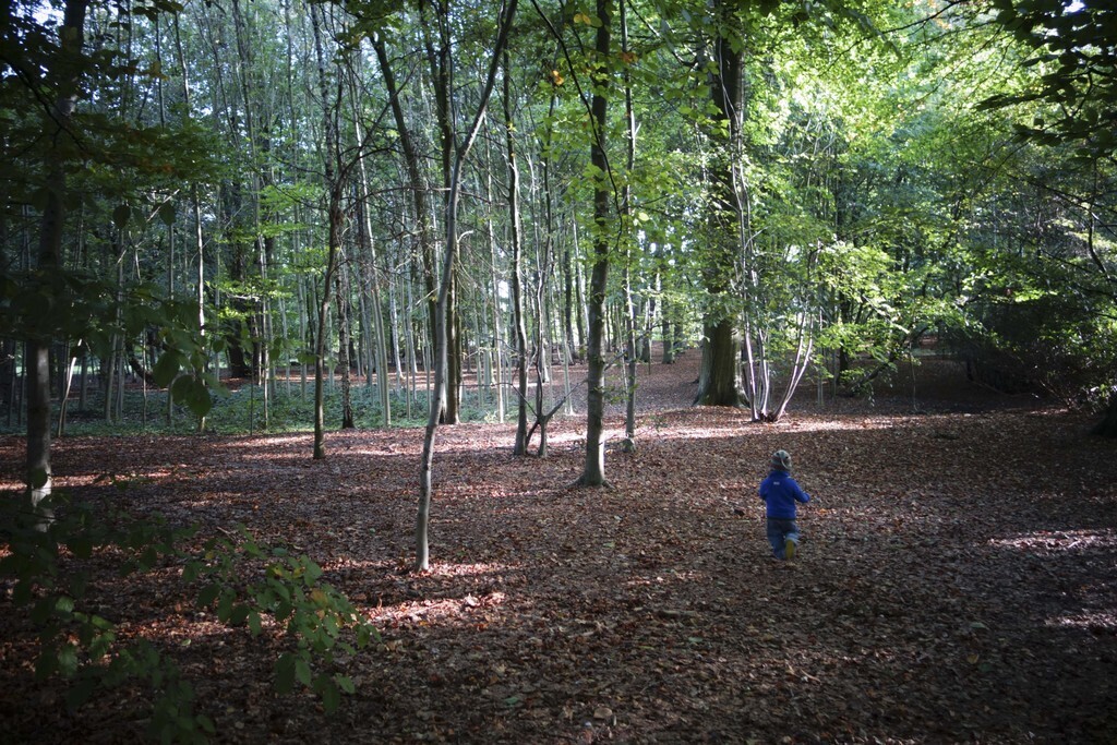 the nearby public park