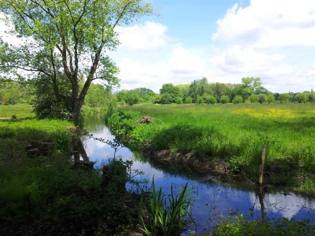the nearby nature reserve 