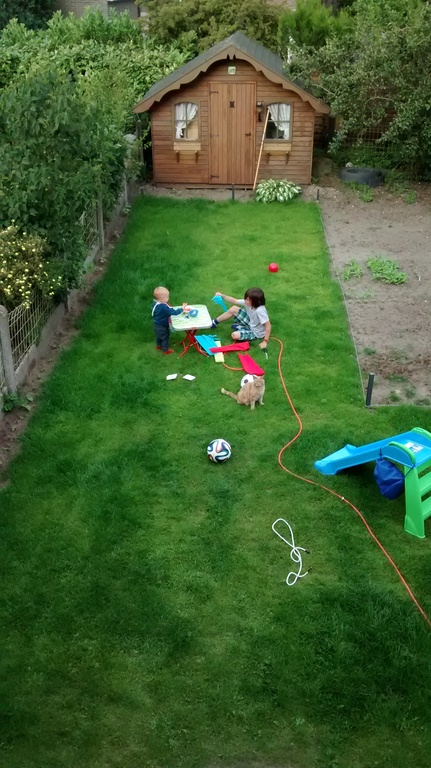 The garden (fullgrown by now, we have to take new picture (with trampoline)