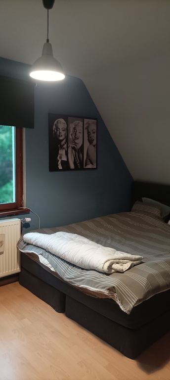 Elise's bedroom (160X200)