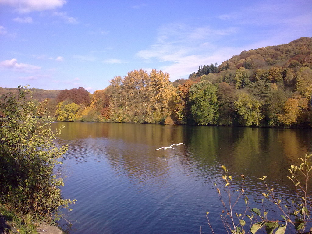 The river Meuse
