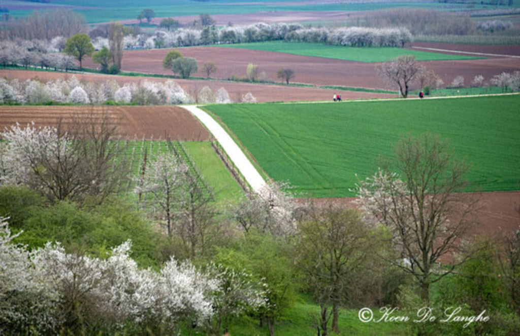 spring time