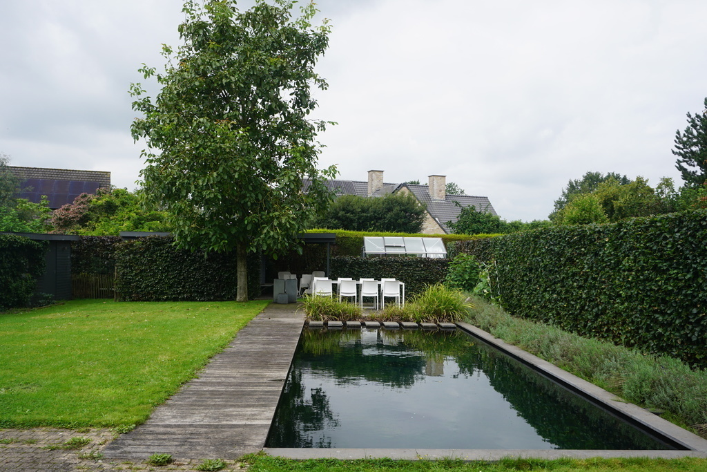 Garden and ecological swimming pool