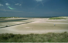 Nature reserve 'Het Zwin' at the seaside