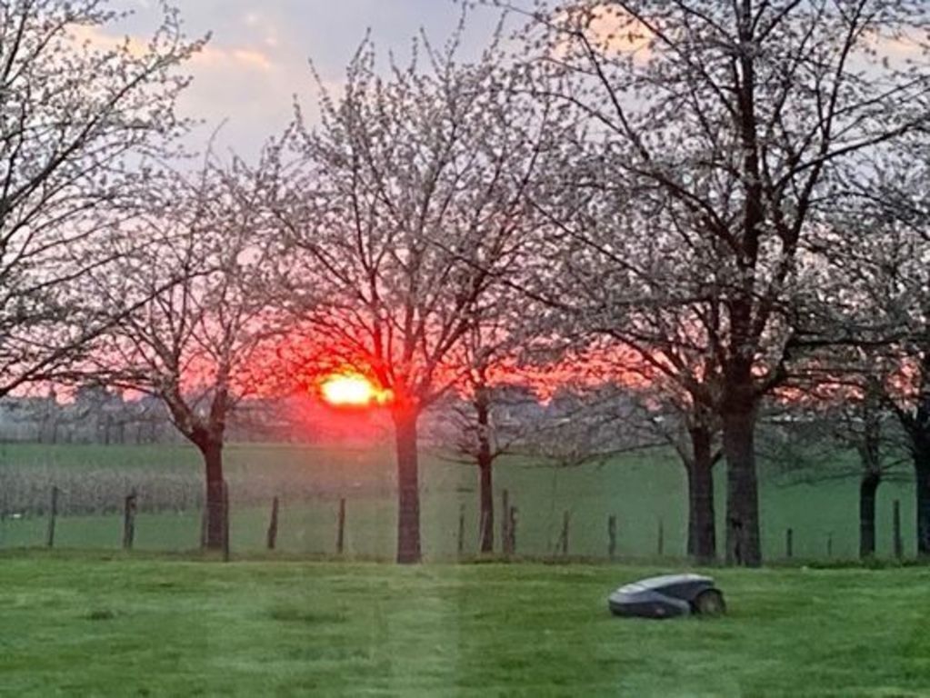 Sunset with out robotic lawnmower