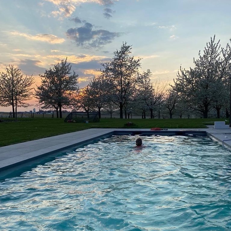 Swimming between the blossoms (march/april)