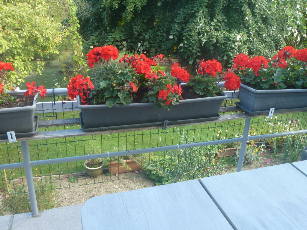la terrasse, avec une grande table, un grand parasol et des chaises de jardin