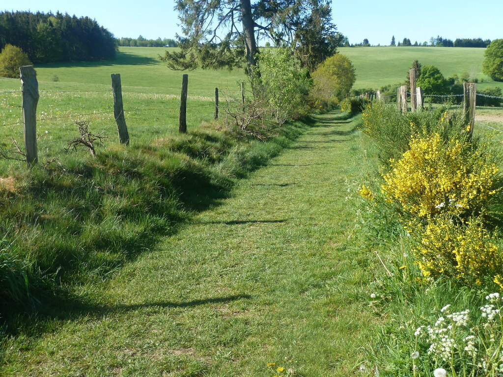 en longeant le bois, à partir du lac
