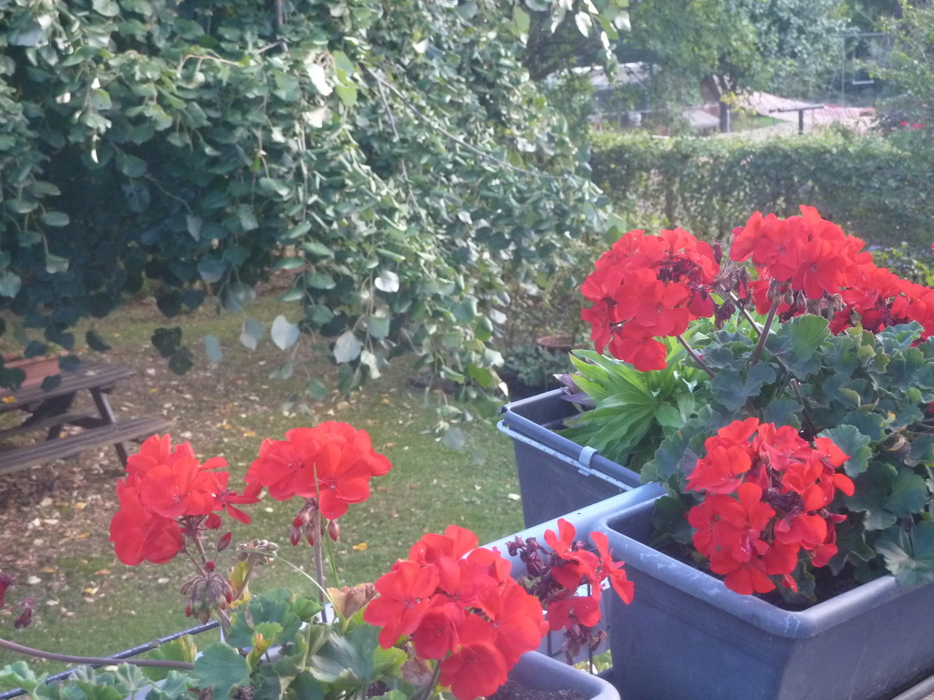 la terrasse, en surplomb du jardin, devant la cuisine et le salon