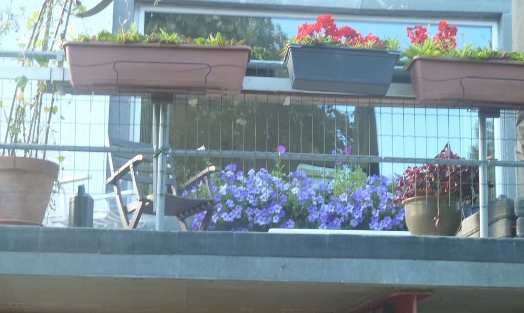 la terrasse et la fenêtre du salon