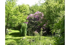 vue sur le jardin