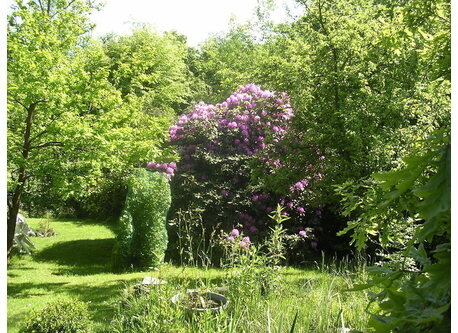 vue sur le jardin