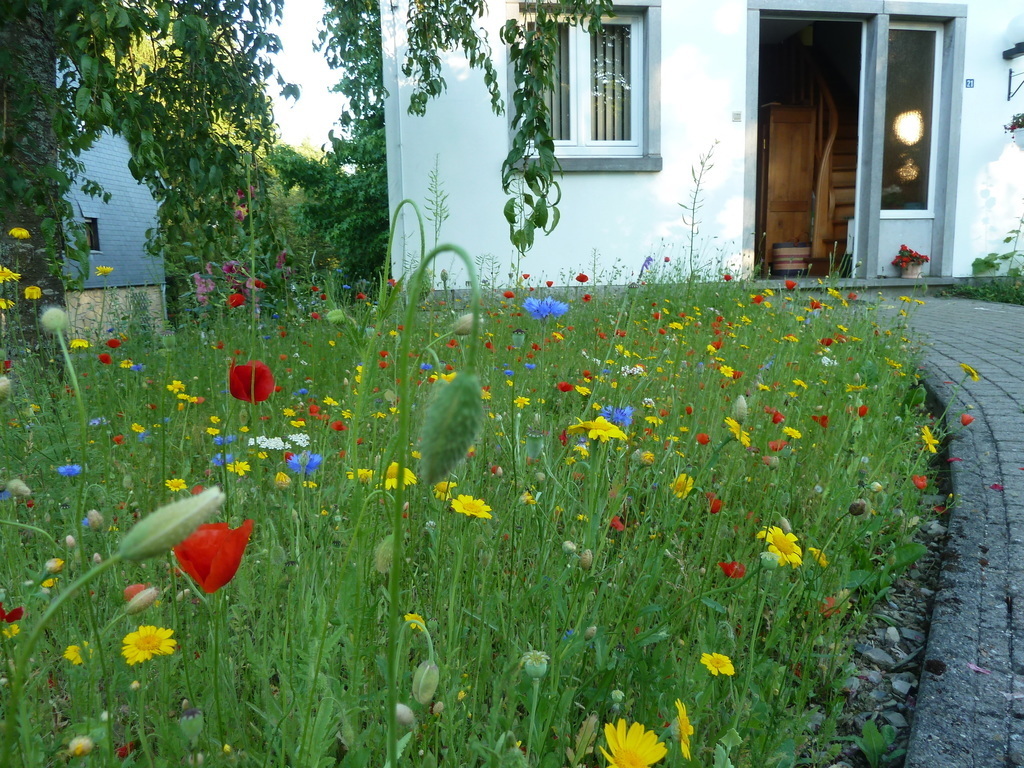 au printemps, la façade
