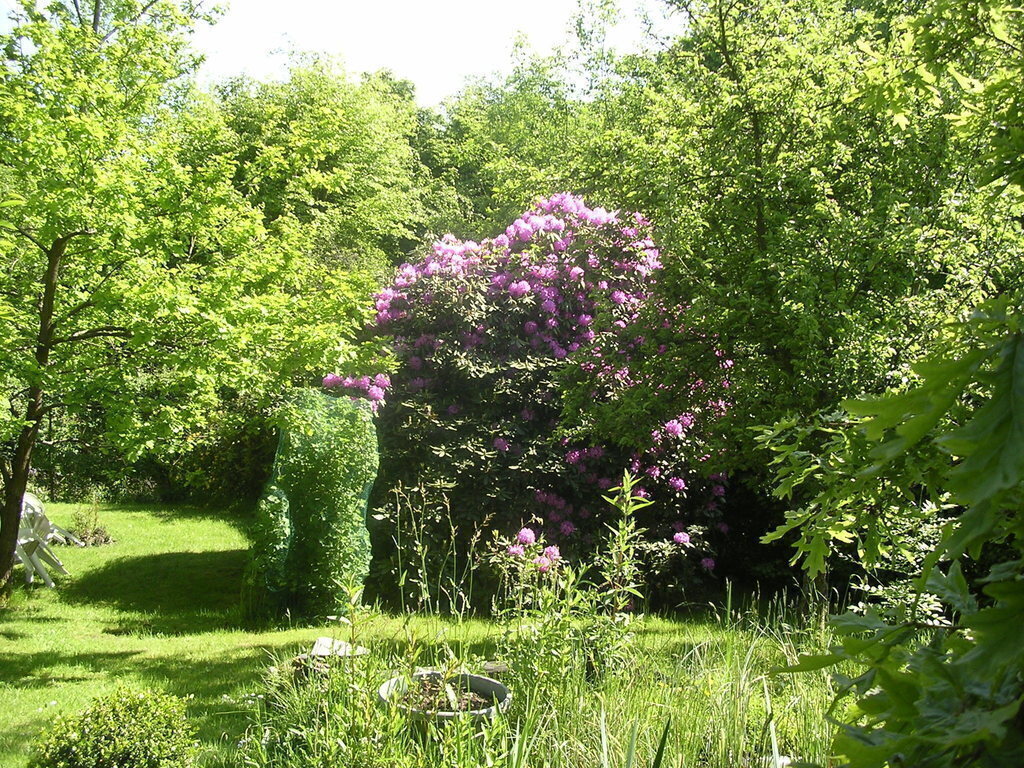 vue sur le jardin