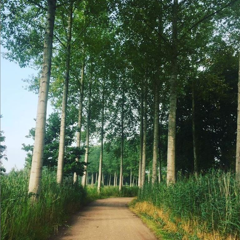 Enormous walking/cycling area at 2km from our doorstep