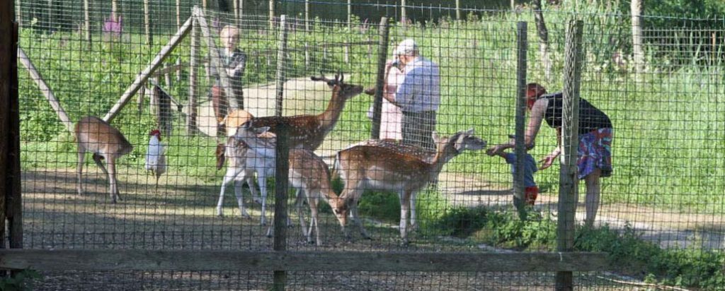 Children's farm at 2km from our house (free!)