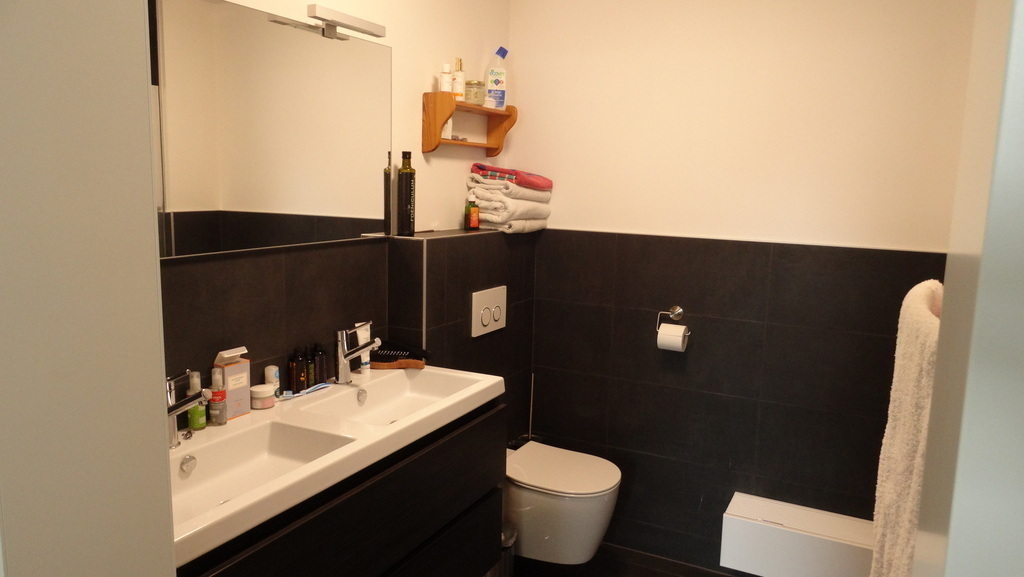 Private bathroom with shower