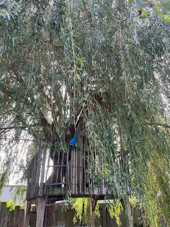Treehouse in the garden