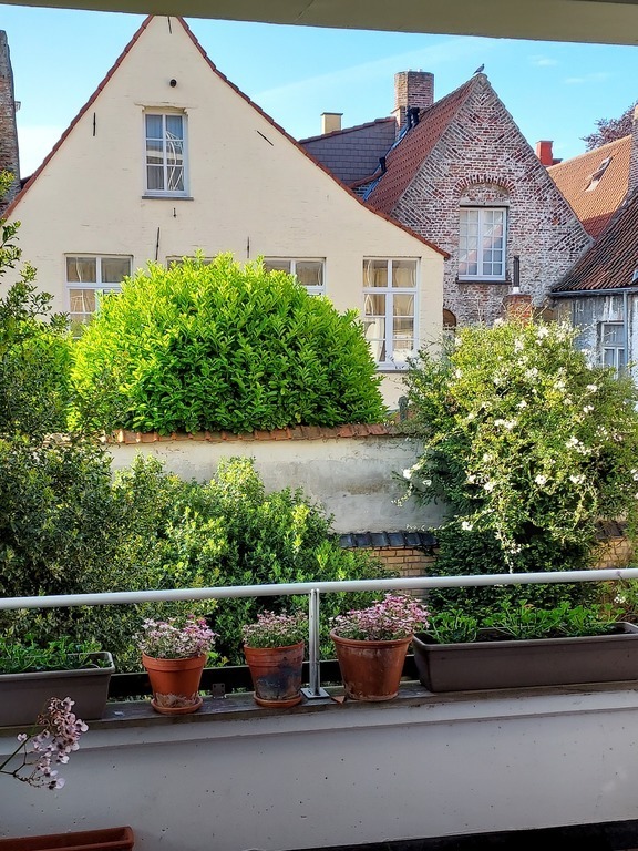 View from bedroom in the back