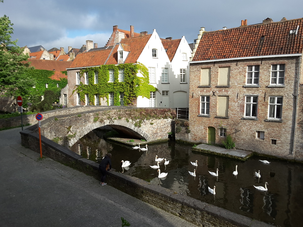 View on canal (with swans) from our livingroom