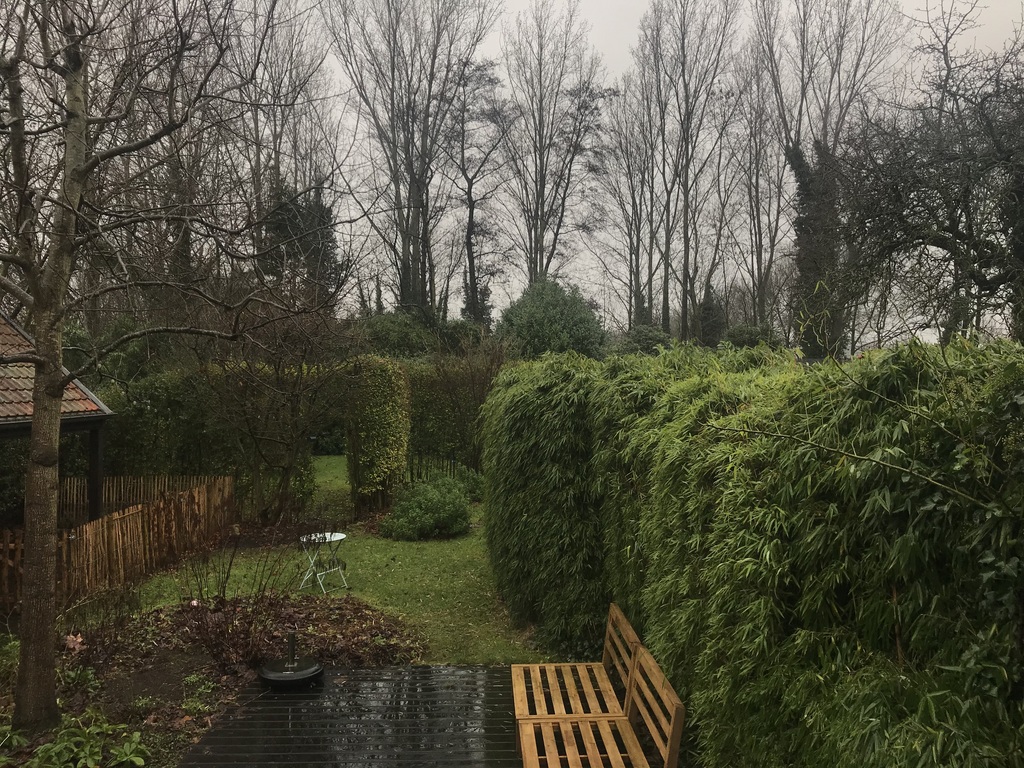 Our garden in winter times